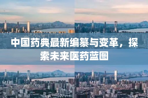 中國藥典最新編纂與變革，探索未來醫(yī)藥藍(lán)圖