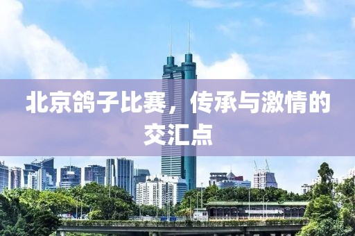 北京鴿子比賽，傳承與激情的交匯點