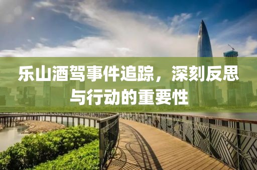 樂山酒駕事件追蹤，深刻反思與行動(dòng)的重要性