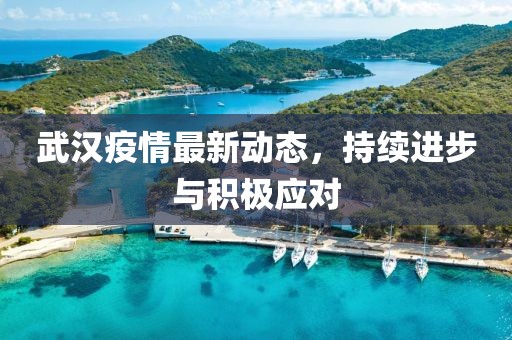 武漢疫情最新動(dòng)態(tài)，持續(xù)進(jìn)步與積極應(yīng)對(duì)