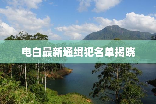 電白最新通緝犯名單揭曉