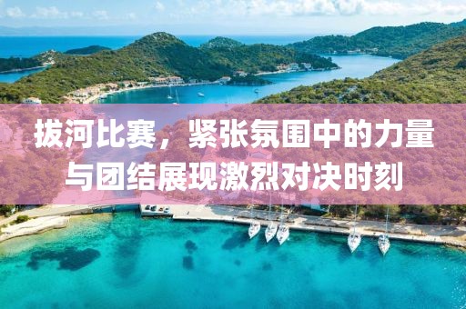 拔河比賽，緊張氛圍中的力量與團結(jié)展現(xiàn)激烈對決時刻