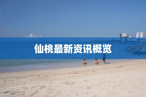 仙桃最新資訊概覽