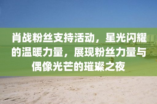 肖戰(zhàn)粉絲支持活動，星光閃耀的溫暖力量，展現(xiàn)粉絲力量與偶像光芒的璀璨之夜