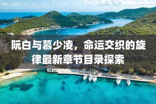 阮白與慕少凌，命運交織的旋律最新章節(jié)目錄探索