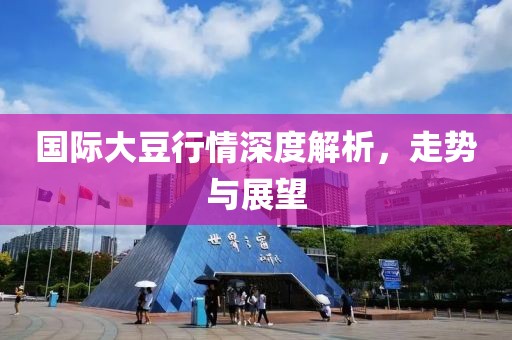 國際大豆行情深度解析，走勢與展望