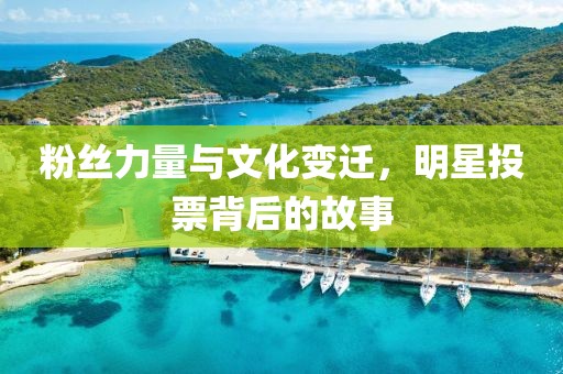 粉絲力量與文化變遷，明星投票背后的故事