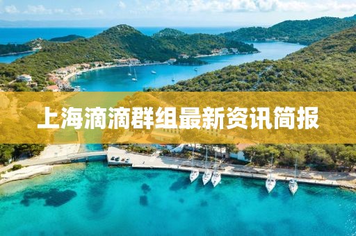 上海滴滴群組最新資訊簡報
