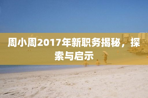 周小周2017年新職務(wù)揭秘，探索與啟示
