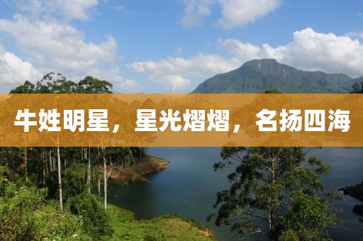 牛姓明星，星光熠熠，名揚四海
