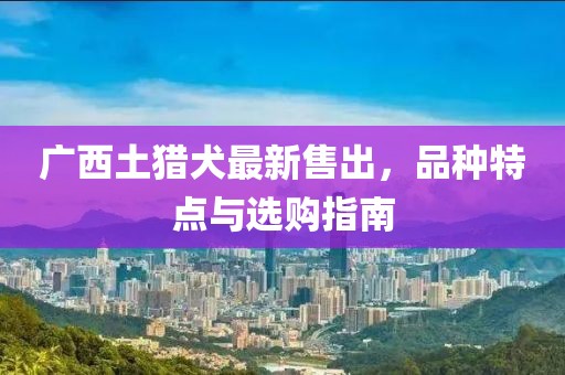 2025年5月 第250頁
