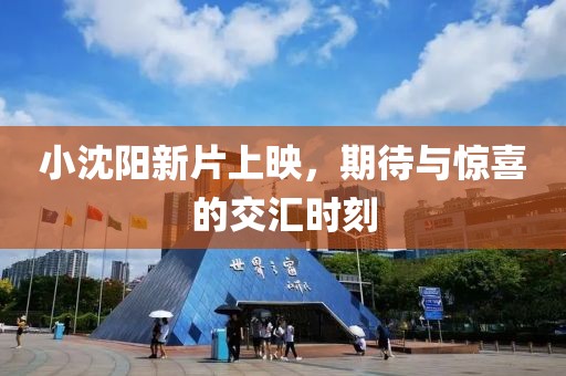 小沈陽(yáng)新片上映，期待與驚喜的交匯時(shí)刻