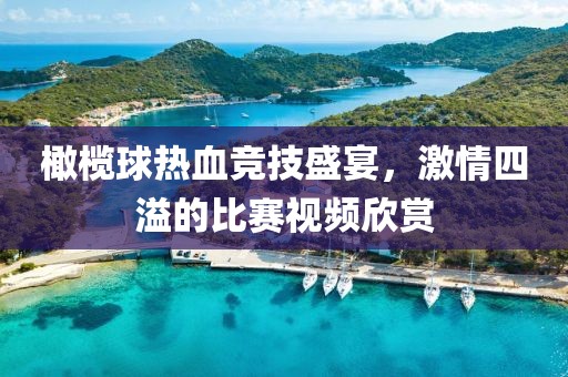 橄欖球熱血競技盛宴，激情四溢的比賽視頻欣賞