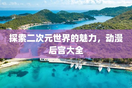 探索二次元世界的魅力，動漫后宮大全