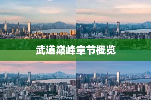 武道巔峰章節(jié)概覽