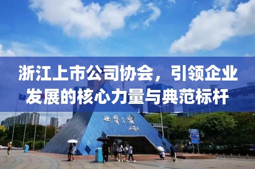 浙江上市公司協(xié)會，引領(lǐng)企業(yè)發(fā)展的核心力量與典范標桿