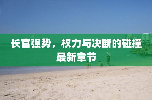 長官強勢，權(quán)力與決斷的碰撞最新章節(jié)