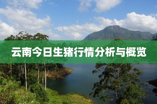 星星打烊 第10頁(yè)