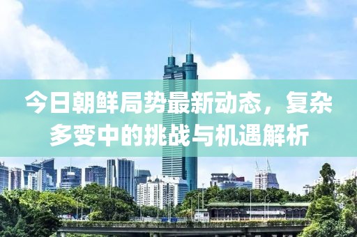 今日朝鮮局勢最新動態(tài)，復(fù)雜多變中的挑戰(zhàn)與機遇解析