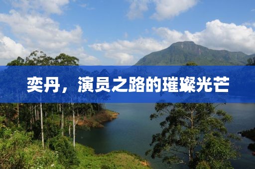 奕丹，演員之路的璀璨光芒