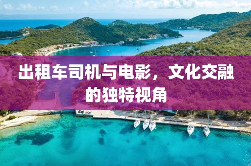 出租車司機(jī)與電影，文化交融的獨(dú)特視角