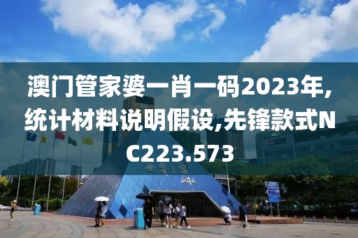 澳門管家婆一肖一碼2023年,統(tǒng)計(jì)材料說明假設(shè),先鋒款式NC223.573