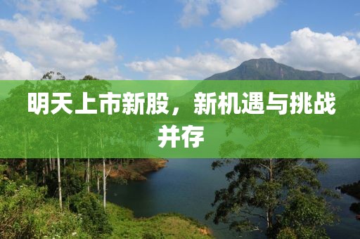 明天上市新股，新機遇與挑戰(zhàn)并存