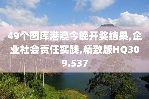 49個圖庫港澳今晚開獎結(jié)果,企業(yè)社會責(zé)任實踐,精致版HQ309.537
