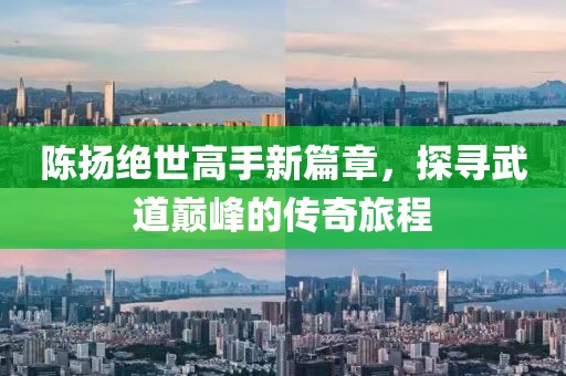 陳揚(yáng)絕世高手新篇章，探尋武道巔峰的傳奇旅程