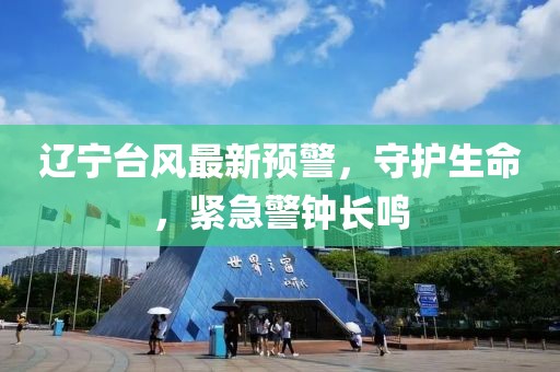 遼寧臺(tái)風(fēng)最新預(yù)警，守護(hù)生命，緊急警鐘長鳴