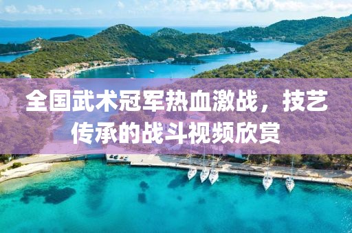 全國武術(shù)冠軍熱血激戰(zhàn)，技藝傳承的戰(zhàn)斗視頻欣賞