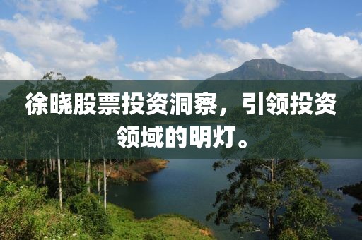 徐曉股票投資洞察，引領(lǐng)投資領(lǐng)域的明燈。