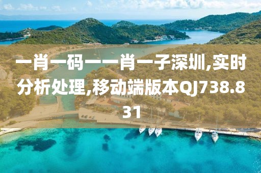一肖一碼一一肖一子深圳,實時分析處理,移動端版本QJ738.831