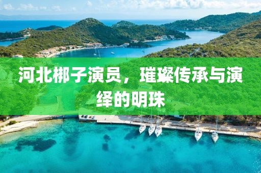 河北梆子演員，璀璨傳承與演繹的明珠