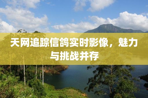 天網(wǎng)追蹤信鴿實時影像，魅力與挑戰(zhàn)并存