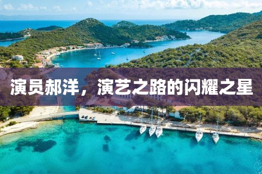 演員郝洋，演藝之路的閃耀之星