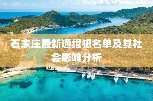 石家莊最新通緝犯名單及其社會影響分析