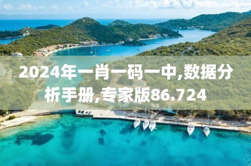 2024年一肖一碼一中,數(shù)據(jù)分析手冊(cè),專家版86.724
