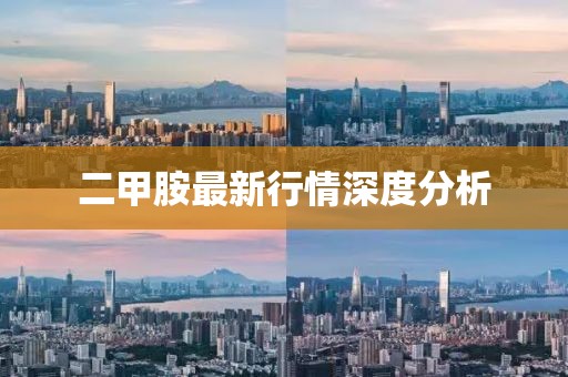 二甲胺最新行情深度分析