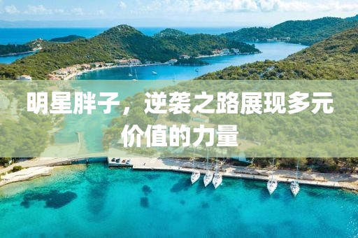 明星胖子，逆襲之路展現(xiàn)多元價值的力量