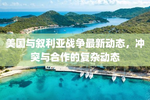 美國與敘利亞戰(zhàn)爭最新動態(tài)，沖突與合作的復雜動態(tài)