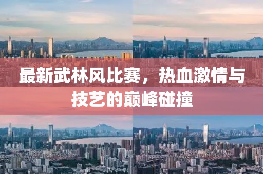 最新武林風(fēng)比賽，熱血激情與技藝的巔峰碰撞