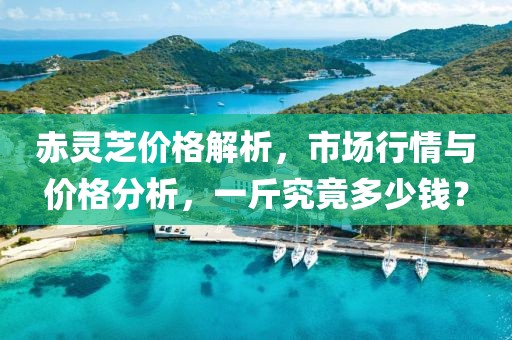 赤靈芝價格解析，市場行情與價格分析，一斤究竟多少錢？
