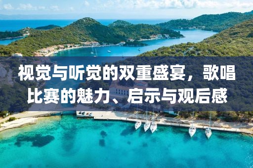 視覺與聽覺的雙重盛宴，歌唱比賽的魅力、啟示與觀后感