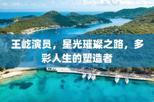王屹演員，星光璀璨之路，多彩人生的塑造者
