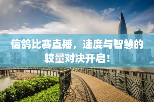 信鴿比賽直播，速度與智慧的較量對(duì)決開(kāi)啟！