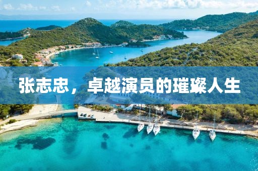 張志忠，卓越演員的璀璨人生