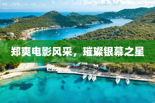 鄭爽電影風(fēng)采，璀璨銀幕之星