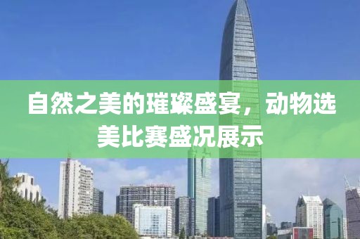 自然之美的璀璨盛宴，動(dòng)物選美比賽盛況展示