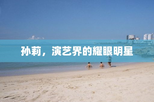 孫莉，演藝界的耀眼明星